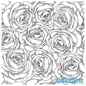 Раскраска розы цветы онлайн