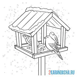 Онлайн раскраска зимние птицы и скворечник