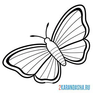 Раскраска бабочка с простыми линиями онлайн