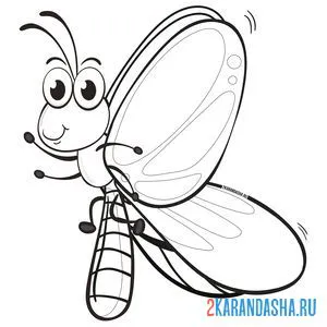 Раскраска маленькая игривая бабочка онлайн