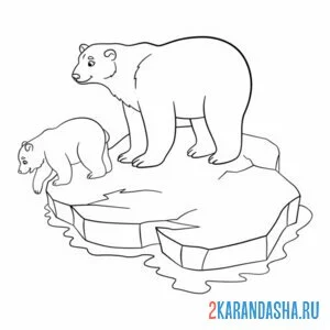 Распечатать раскраску белы медведи на льдине на А4