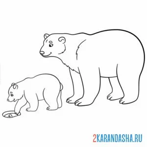 Распечатать раскраску два белых медведя на А4