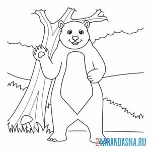 Распечатать раскраску медведь у дерева на А4