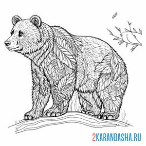 Раскраска настоящий бурый медведь арт онлайн