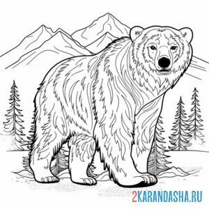 Распечатать раскраску медведь в горах и соснах на А4