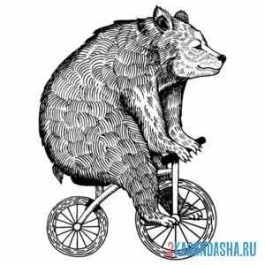 Раскраска медведь на маленьком велосипеде онлайн