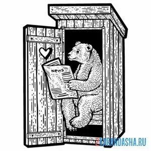 Распечатать раскраску медведь читает газету на А4