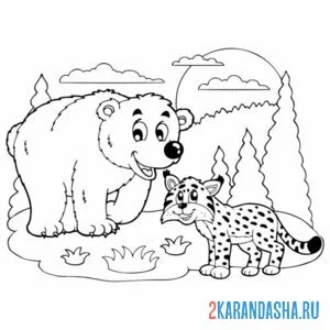 Распечатать раскраску бурый медведь и рысь на А4