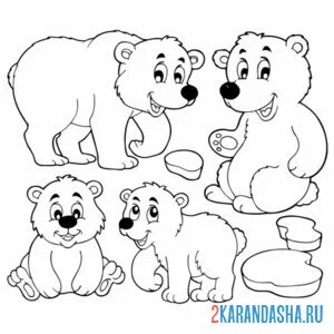 Раскраска семейство медведей онлайн