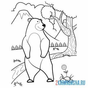 Раскраска большой настоящий медведь онлайн