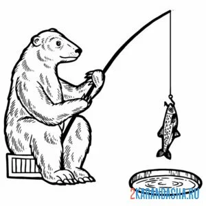 Раскраска медведь на рыбалке онлайн