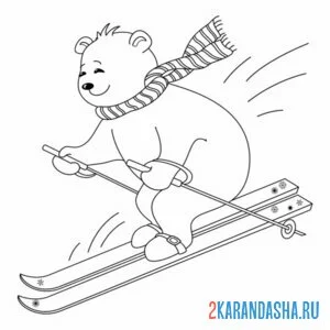 Распечатать раскраску медведь лыжник на А4