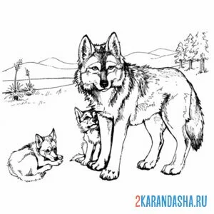 Раскраска волчица и волчата онлайн