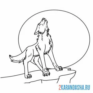 Раскраска волк на скале воет на луну онлайн