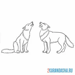 Раскраска два волка онлайн