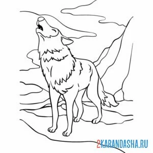 Раскраска волк зовет стаю онлайн