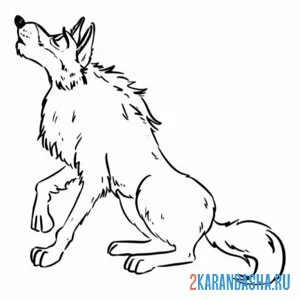 Раскраска волк дикий одинокий онлайн