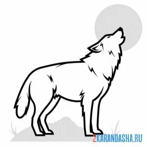 Раскраска волк дикий воет на луну онлайн