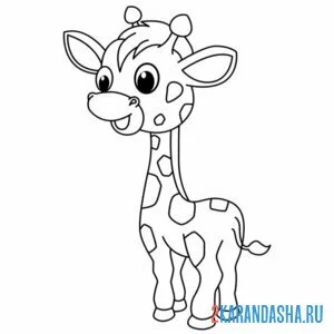 Раскраска жираф простой рисунок онлайн