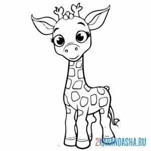 Раскраска жираф милейший онлайн