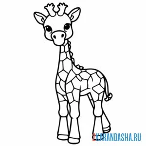 Раскраска жираф с пятнышками онлайн