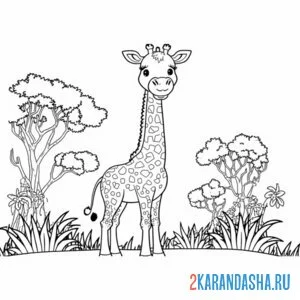 Раскраска жираф и деревья саванны онлайн