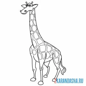 Раскраска смешной жираф онлайн
