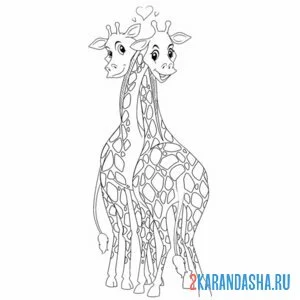Распечатать раскраску влюбленные жирафы на А4