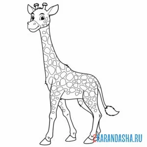 Распечатать раскраску симпатичный жираф на А4