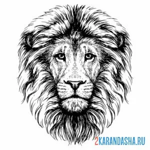 Раскраска шикарная грива льва онлайн