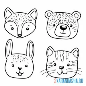 Раскраска зверята лиса, медведь, заяц и кот онлайн