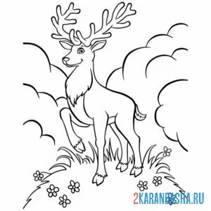 Раскраска олень в лесу на горе онлайн
