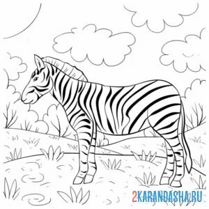 Распечатать раскраску зебра на лужайке на А4