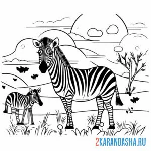 Распечатать раскраску зебра и жеребенок на А4