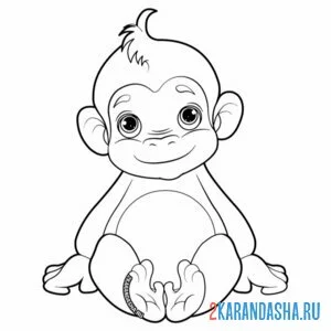 Раскраска маленькая обезьянка онлайн