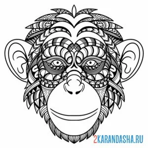 Раскраска голова обезьяны антистресс онлайн