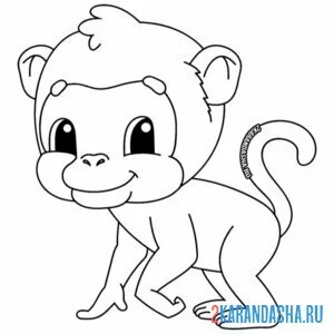 Раскраска малышка обезьянка онлайн