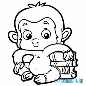 Раскраска обезьянка с книжками онлайн