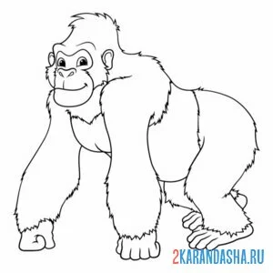 Раскраска взрослая особь обезьяны онлайн