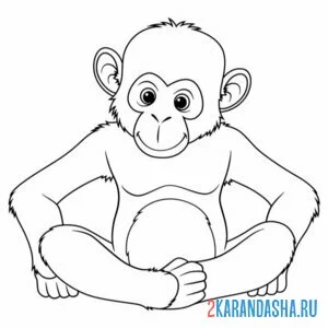 Раскраска сидит обезьянка онлайн