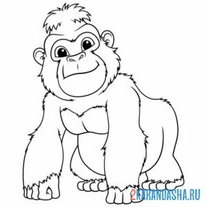 Раскраска красивая обезьянка онлайн