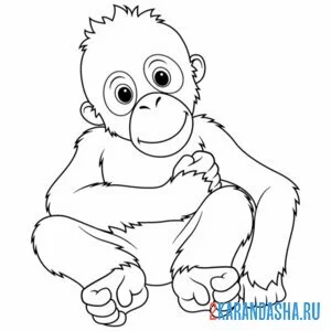Раскраска малыш шимпанзе обезьянка онлайн