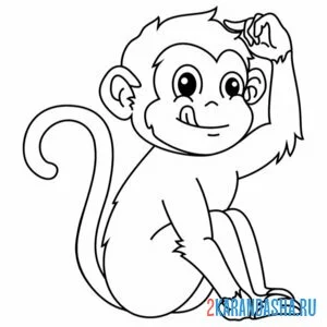 Раскраска обезьянка высунула язык онлайн