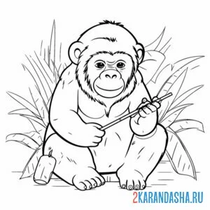 Раскраска обезьяна и палка онлайн