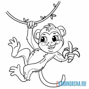Раскраска на ветке обезьянка онлайн