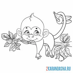 Раскраска обезьянка отдыхает онлайн