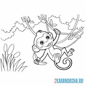 Раскраска обезьянка хулиганка на ветке онлайн