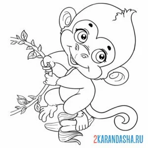Раскраска обезьянка милашка на ветке онлайн