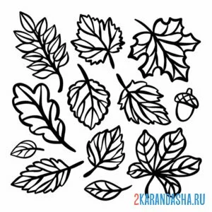 Распечатать раскраску осенний листопад листья на А4