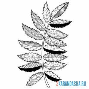 Раскраска антистресс листья рябины онлайн